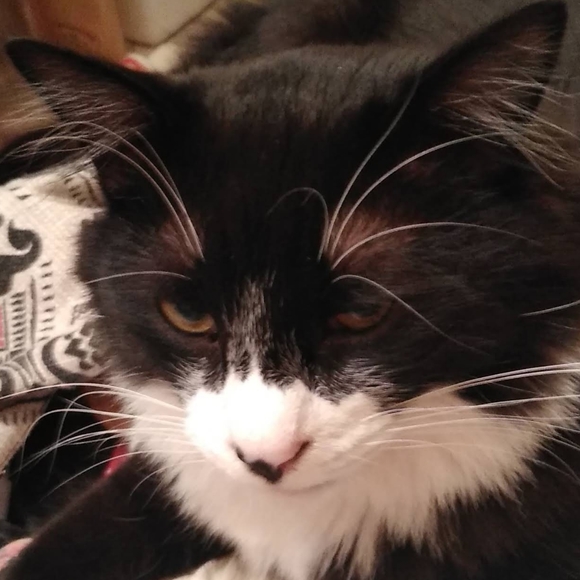 Meet your Posher, Vicki - Picture 2 of 6